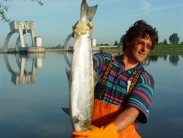 zalm vistrap amerongen