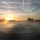IMG_0653