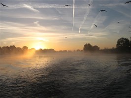 IMG_0653
