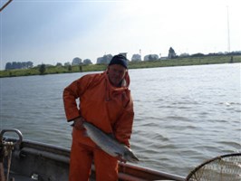 zalm gevangen vispassage Hagestein