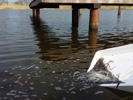 IMG-20170407-WA0002